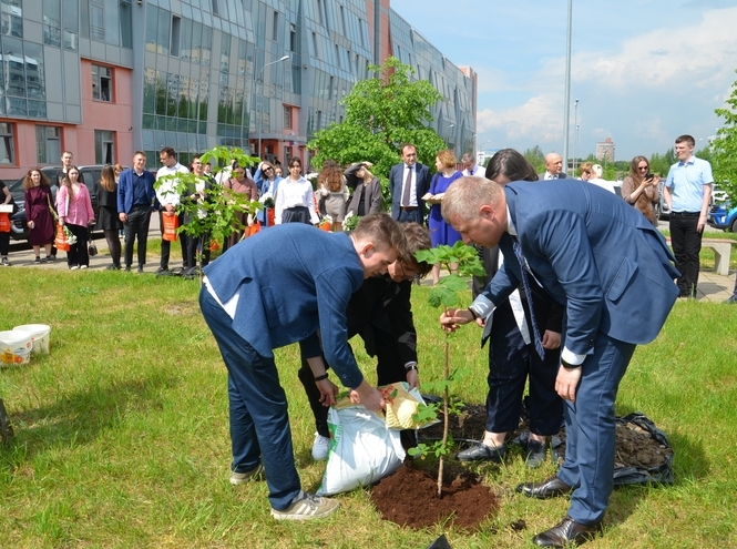 В СПбГУТ наградили лучших выпускников 2024 года